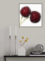 Bubbles Poster och Canvastavla