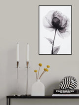 X Ray 2 Poster och Canvastavla
