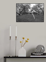 Dancer in the park Poster och Canvastavla