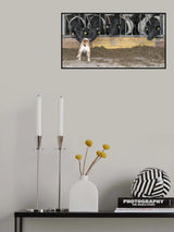 Listen up, cows! Poster och Canvastavla