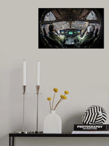 Dam Poster och Canvastavla