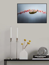 Spring is coming Poster och Canvastavla