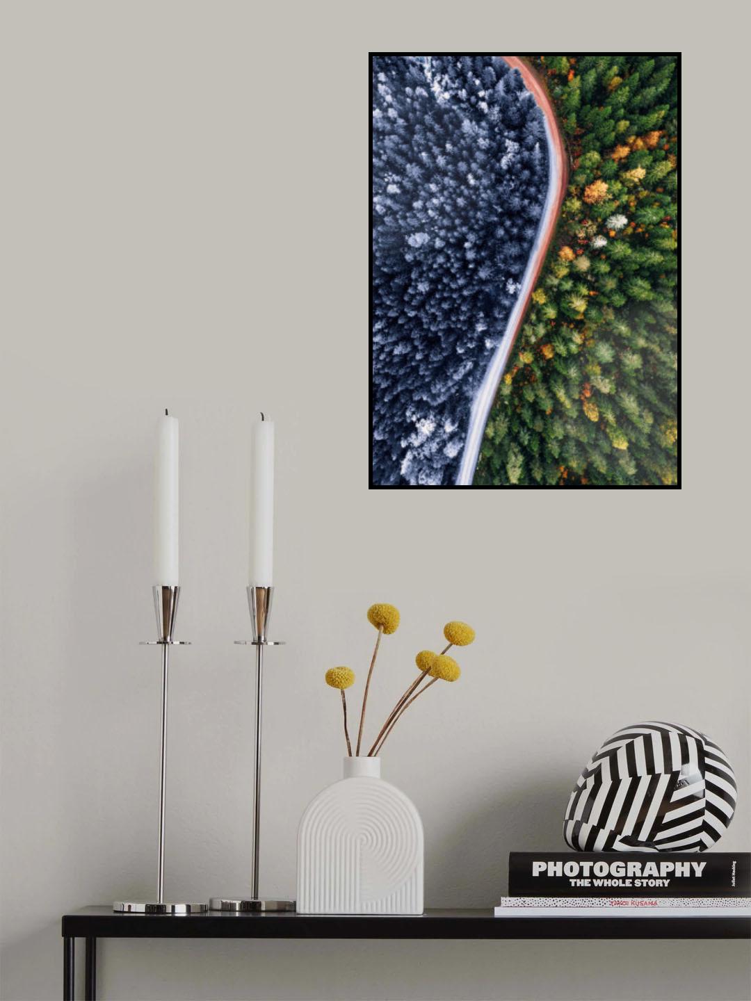 Forest Seasons Change Poster och Canvastavla
