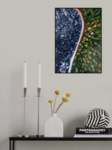 Forest Seasons Change Poster och Canvastavla