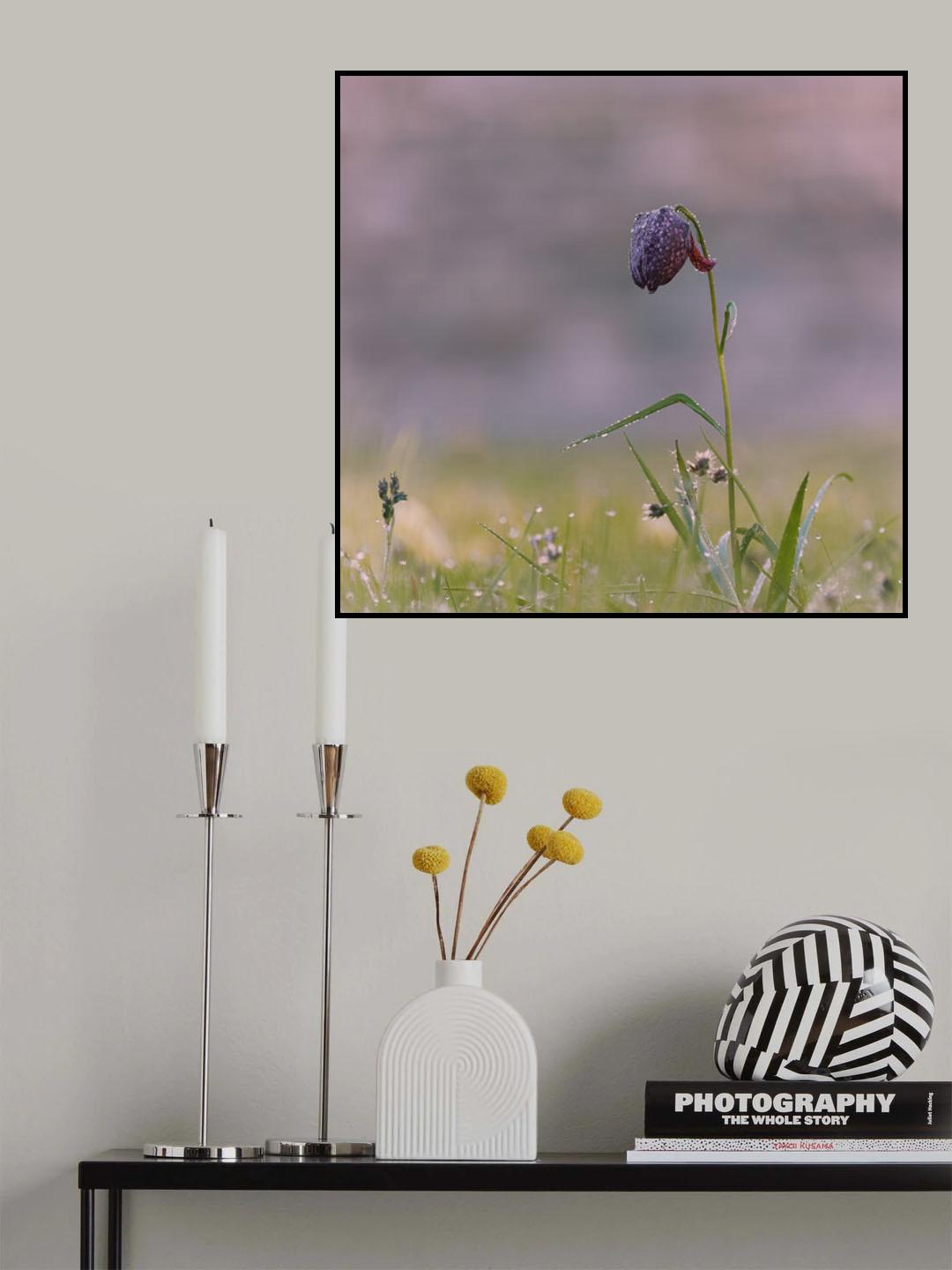 Snakehead in the wet grass Poster och Canvastavla