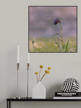 Snakehead in the wet grass Poster och Canvastavla