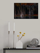 The swamp in autumn Poster och Canvastavla