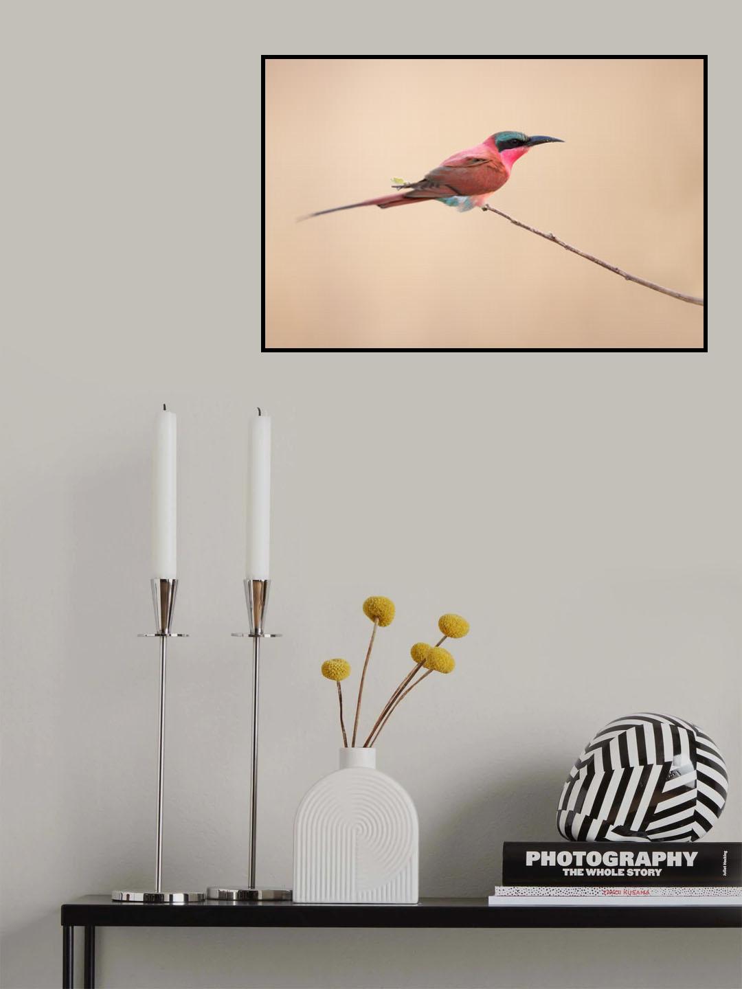 carmine bee-eater Poster och Canvastavla