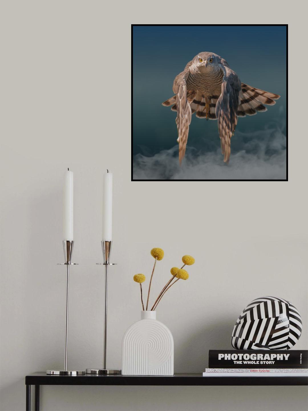 Eyes on the camera Poster och Canvastavla