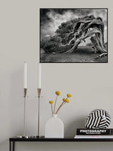 still alive Poster och Canvastavla