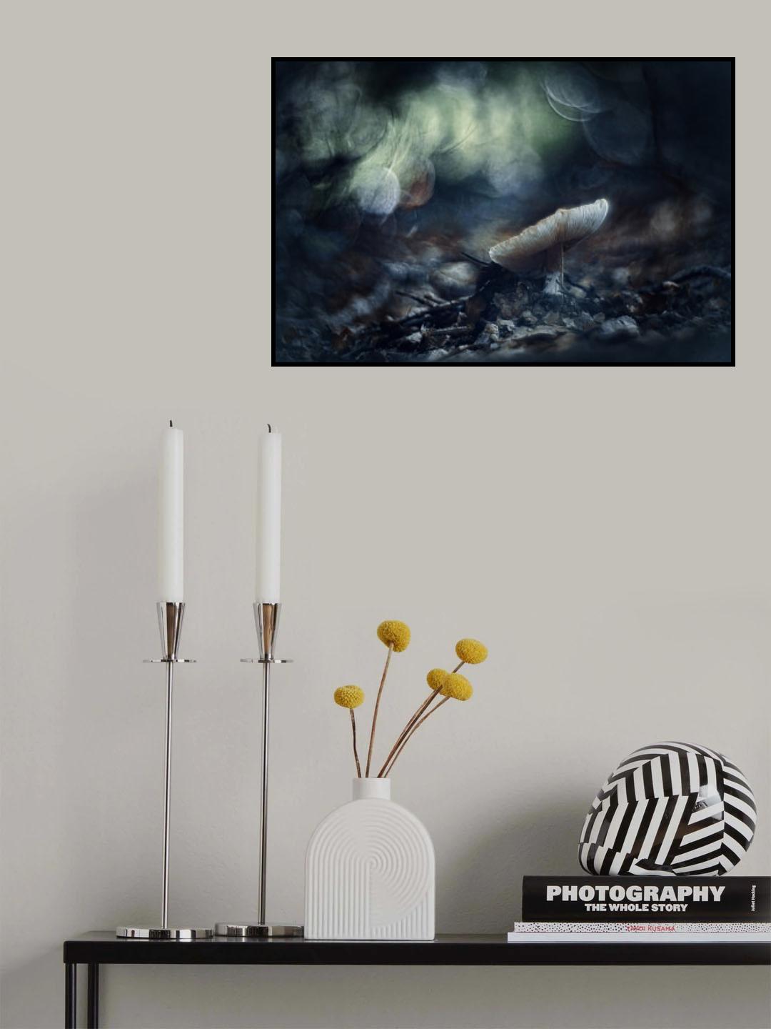Autumn glance Poster och Canvastavla