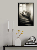 But its too late now, I've let her go... Poster och Canvastavla
