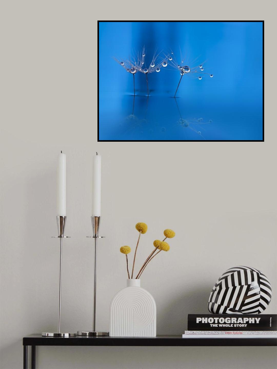 Blue fun Poster och Canvastavla