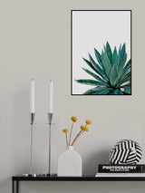 Agave Cactus Poster och Canvastavla