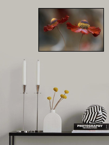 Helenium dance Poster och Canvastavla