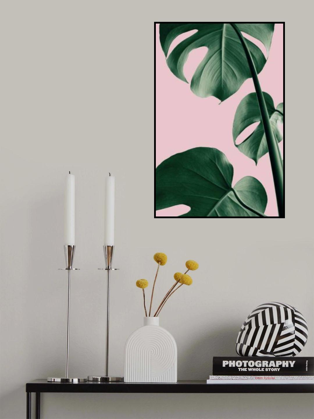 Monstera Pink No 06 Poster och Canvastavla