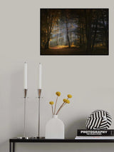 november morning Poster och Canvastavla