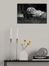 Aligned Poster och Canvastavla