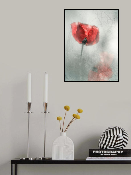 Poster och Canvastavla