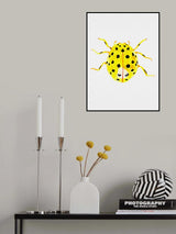 The 22-spot ladybird or Psyllobora vigintiduopunctata Poster och Canvastavla