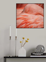 Portrait of a Pink Flamingo Poster och Canvastavla