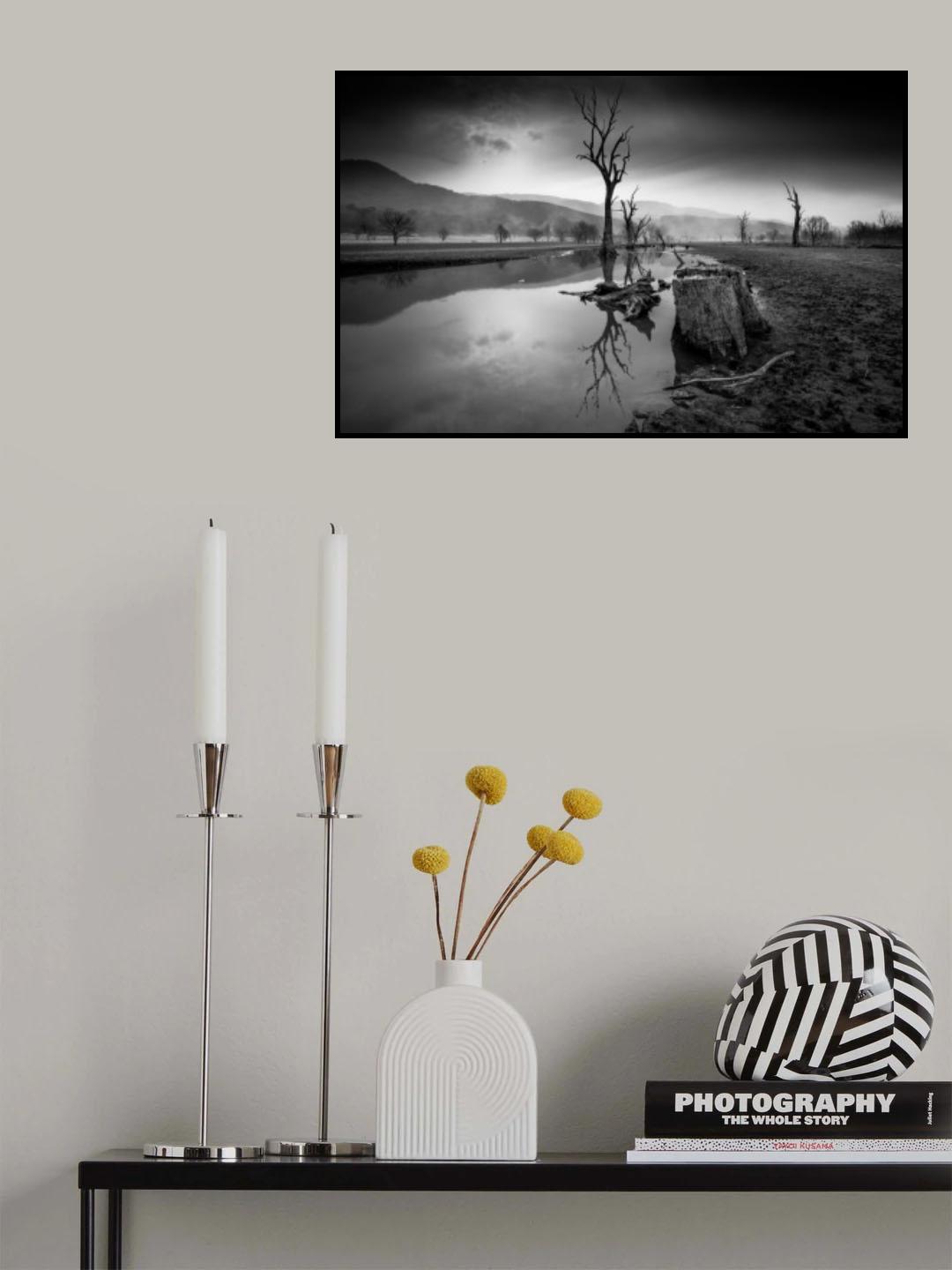 Desolate Lakeside Poster och Canvastavla