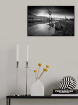 Desolate Lakeside Poster och Canvastavla