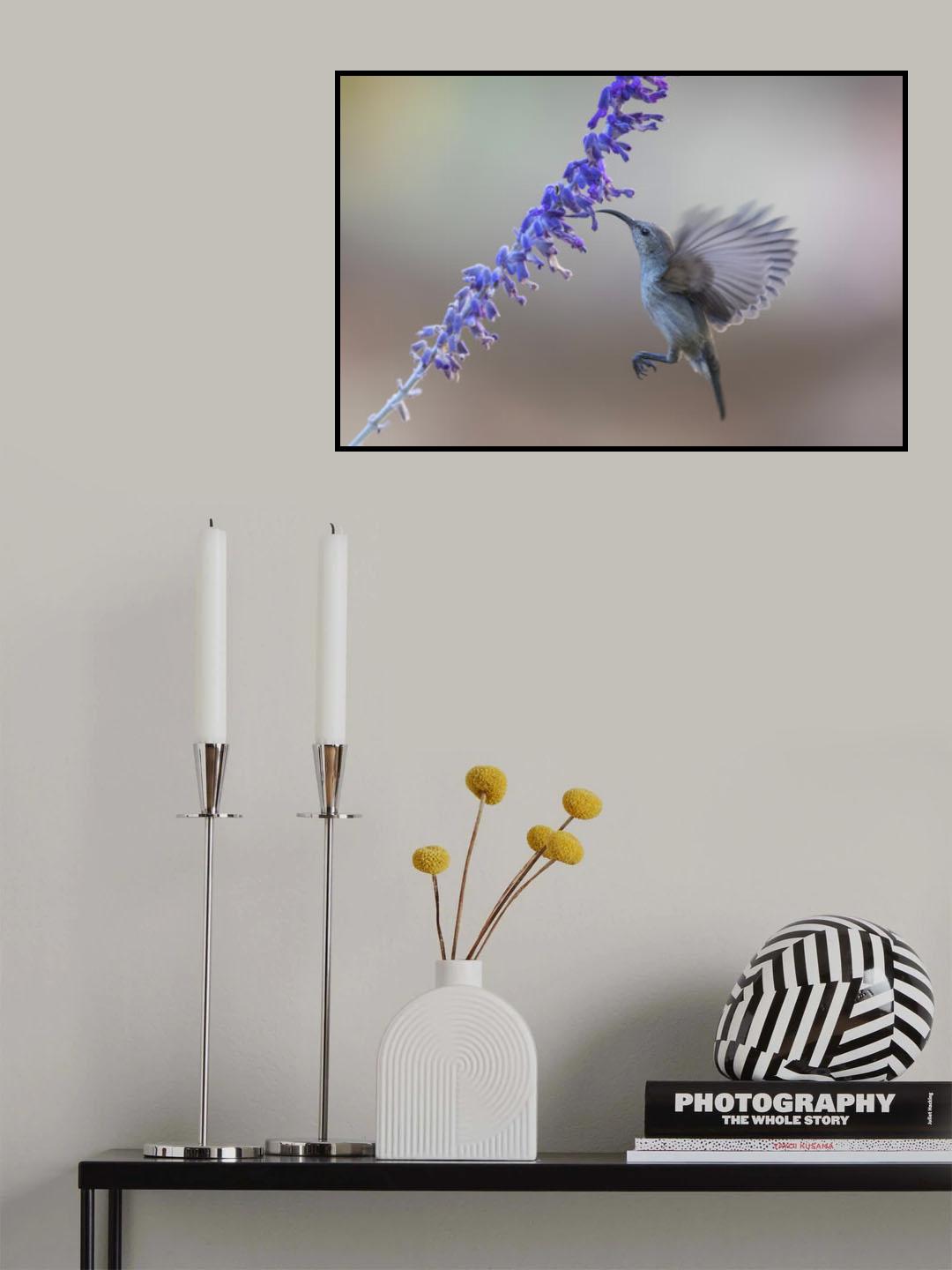 Poster och Canvastavla