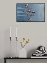 Snowbirds Poster och Canvastavla