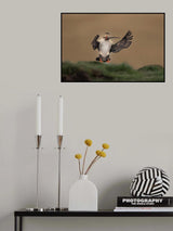 Coming home Poster och Canvastavla