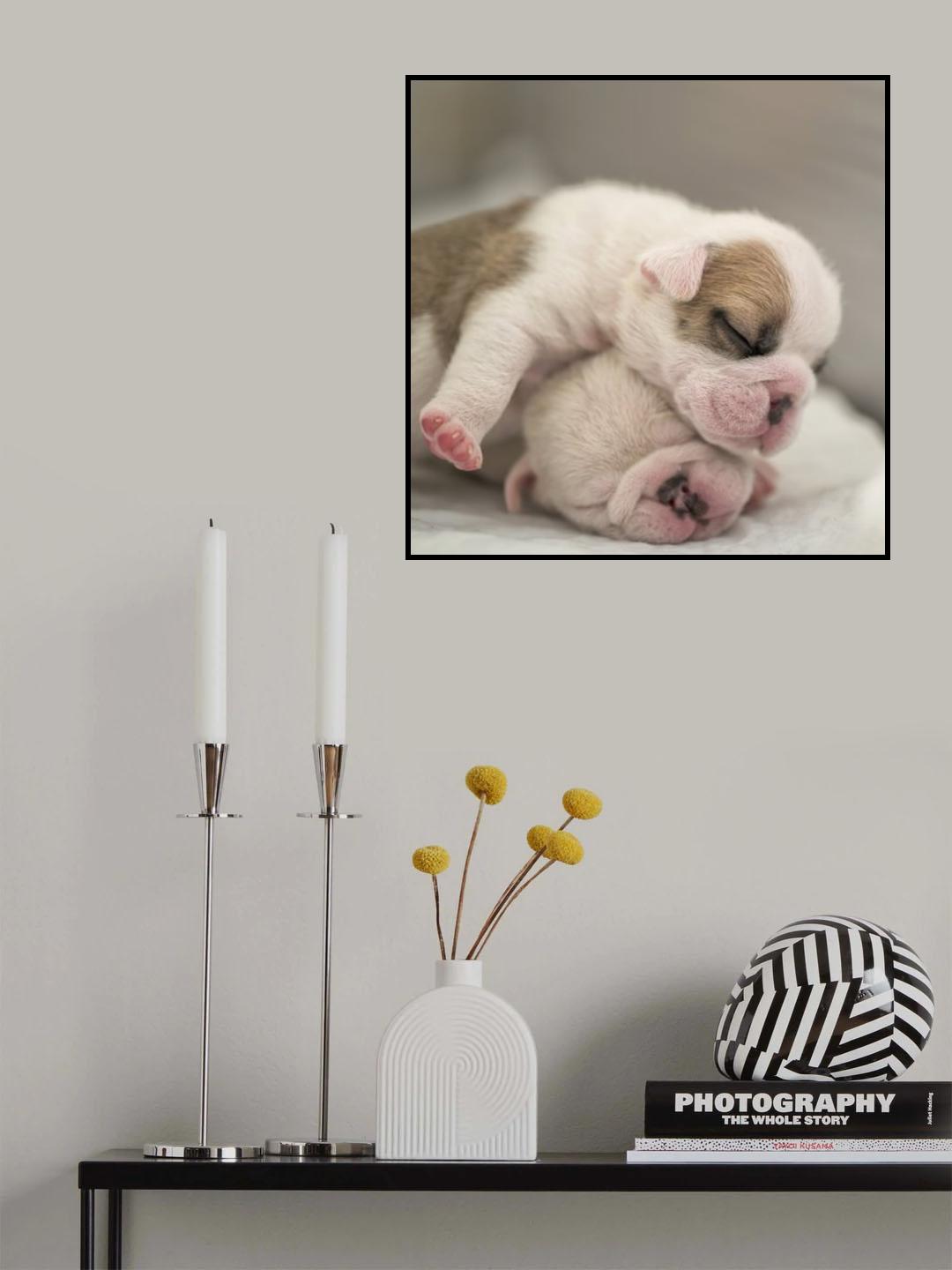 Siblings 2 Poster och Canvastavla