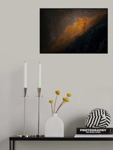 Last light on the trees Poster och Canvastavla