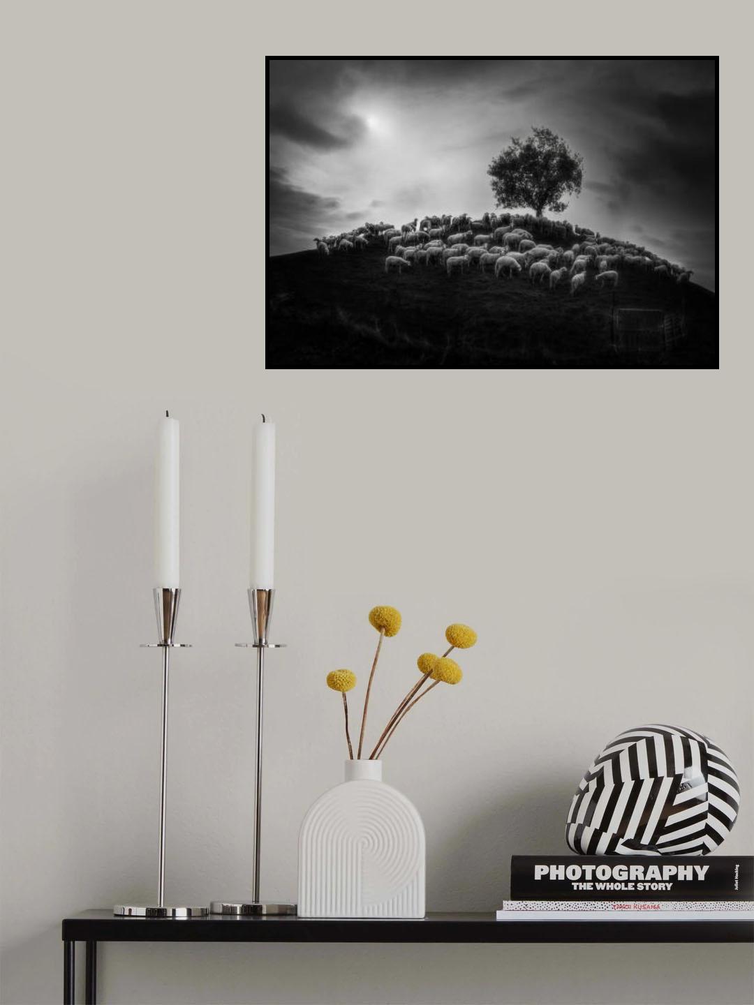 Poster och Canvastavla
