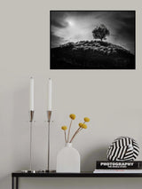 Poster och Canvastavla