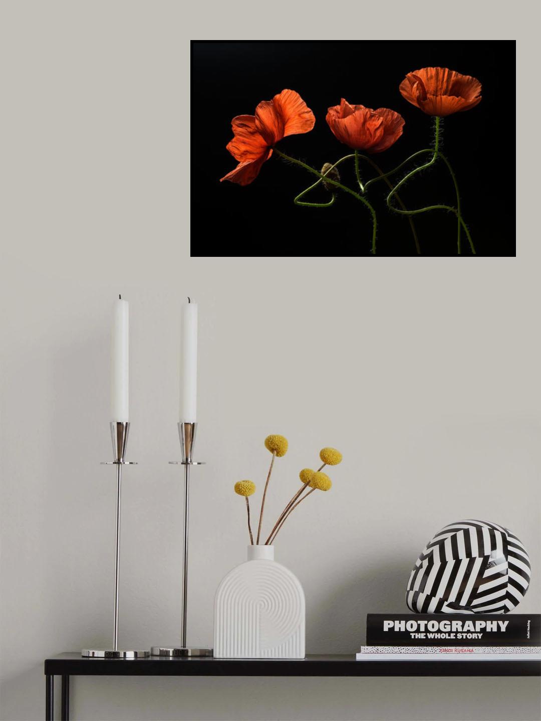 Around Midnight #2 Poster och Canvastavla
