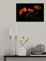 Around Midnight #2 Poster och Canvastavla