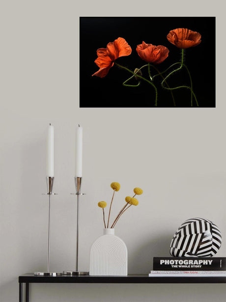 Around Midnight #2 Poster och Canvastavla