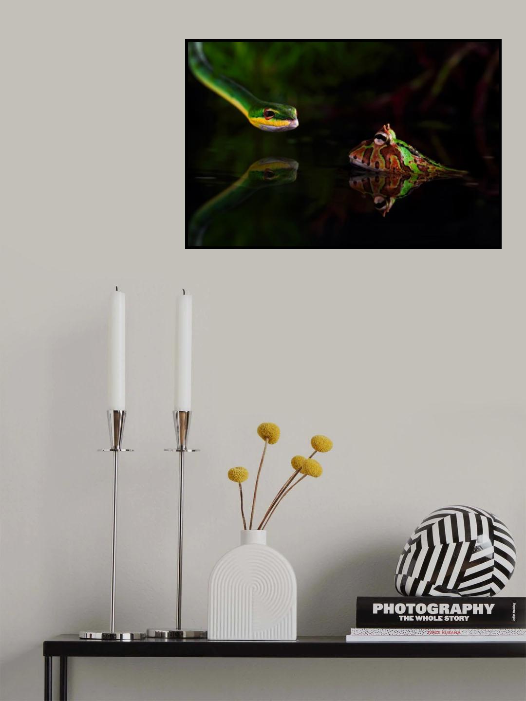 Courage Poster och Canvastavla