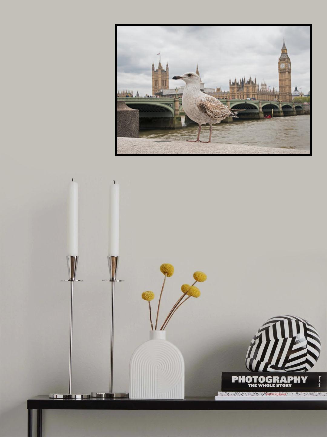 The Guardian Poster och Canvastavla