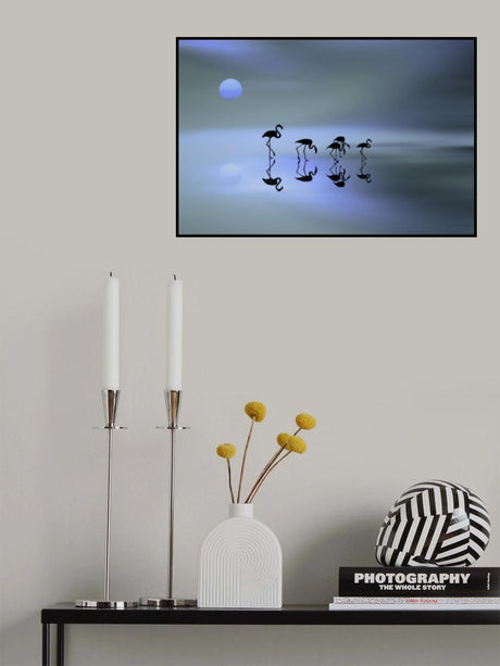 group of flamingos Poster och Canvastavla