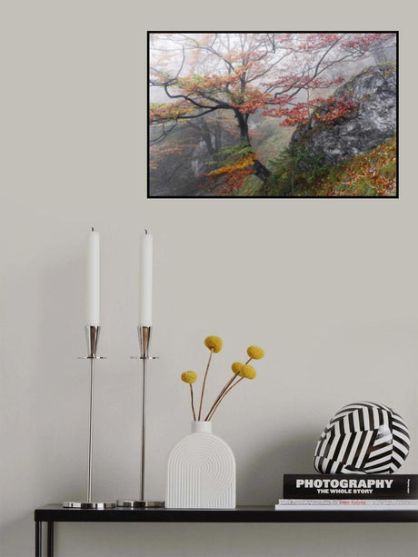 Foggy Woods Poster och Canvastavla