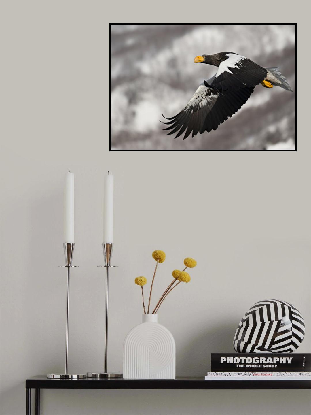 Stellar's sea eagle Poster och Canvastavla