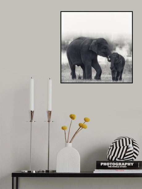 siblings Poster och Canvastavla