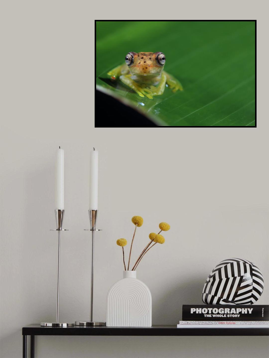 Frog eyes Poster och Canvastavla