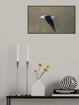 Poster och Canvastavla