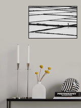 rice paddy Poster och Canvastavla