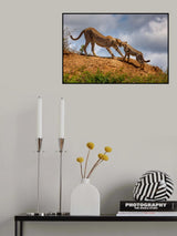 Mother love Poster och Canvastavla