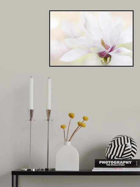 Purity Poster och Canvastavla