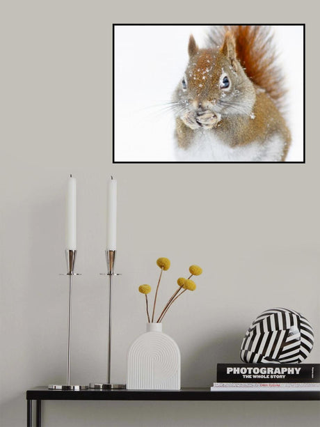 Christmas Squirrel Poster och Canvastavla