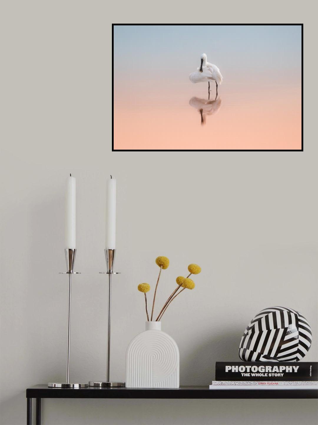Spoonbill in the sunrise light Poster och Canvastavla